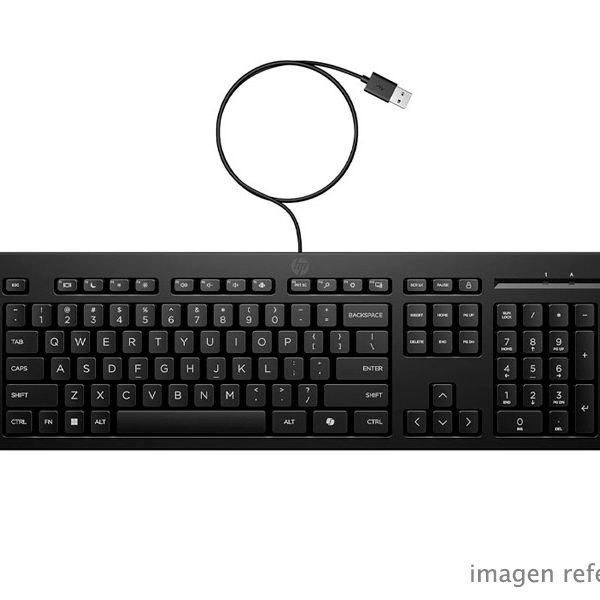 Teclado HP 125 G2 USB Negro AY2Y7AA#ABM